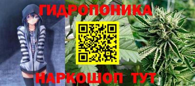 прущие крисы Кинель