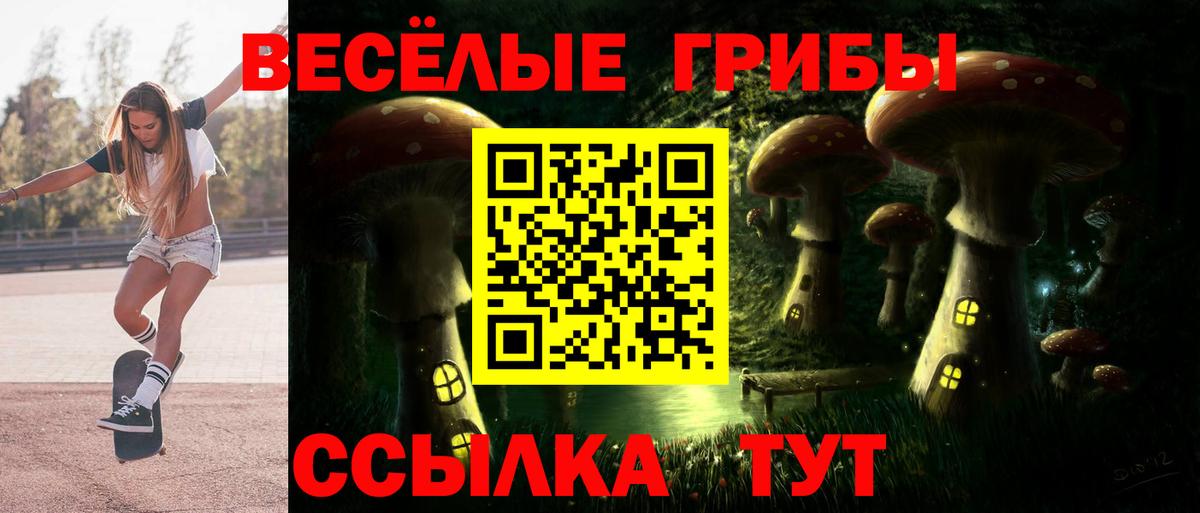 Псилоцибиновые грибы Psilocybe  Вход с VPN  Глазов 
